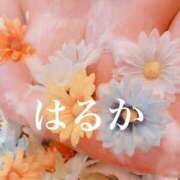 ヒメ日記 2026/04/10 18:18 投稿 はるか アップル(長崎)