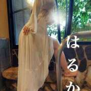 ヒメ日記 2026/04/11 23:18 投稿 はるか アップル(長崎)