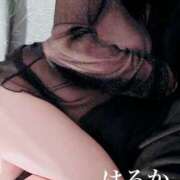 ヒメ日記 2026/04/15 15:42 投稿 はるか アップル(長崎)