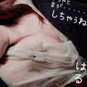 ヒメ日記 2026/04/17 12:33 投稿 はるか アップル(長崎)