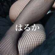 ヒメ日記 2026/04/23 08:12 投稿 はるか アップル(長崎)