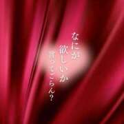 ヒメ日記 2026/04/23 15:54 投稿 はるか アップル(長崎)