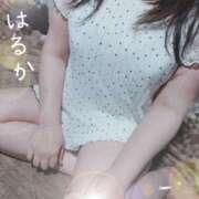 ヒメ日記 2026/05/01 18:54 投稿 はるか アップル(長崎)