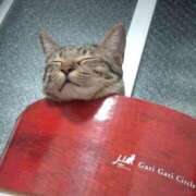 ヒメ日記 2025/01/31 10:09 投稿 あみ YESグループ TSUBAKI FIRST