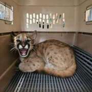 ヒメ日記 2025/11/02 15:14 投稿 あみ YESグループ TSUBAKI FIRST