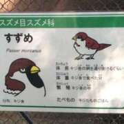 あみ 最終日☆ごめん！ YESグループ TSUBAKI FIRST