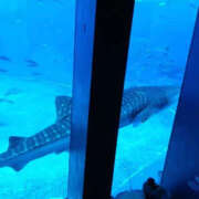 あみ 来月大丈夫か心配。 YESグループ TSUBAKI FIRST