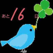 ヒメ日記 2025/12/28 07:09 投稿 あみ YESグループ TSUBAKI FIRST