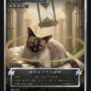 ヒメ日記 2025/12/29 07:58 投稿 あみ YESグループ TSUBAKI FIRST