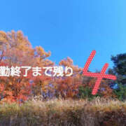 ヒメ日記 2026/01/02 08:09 投稿 あみ YESグループ TSUBAKI FIRST