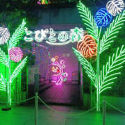 ヒメ日記 2026/01/14 08:09 投稿 あみ YESグループ TSUBAKI FIRST