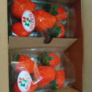 ヒメ日記 2026/01/15 08:09 投稿 あみ YESグループ TSUBAKI FIRST