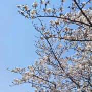 ヒメ日記 2026/04/05 21:45 投稿 あみ YESグループ TSUBAKI FIRST