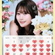 ヒメ日記 2025/03/20 02:44 投稿 イク ルーブル