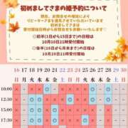 ヒメ日記 2025/10/03 09:44 投稿 イク ルーブル