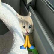 ヒメ日記 2026/03/28 15:07 投稿 ひまわり 手コキ＆オナクラ 大阪はまちゃん 谷九店