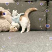 ヒメ日記 2026/04/01 11:32 投稿 ひまわり 手コキ＆オナクラ 大阪はまちゃん 谷九店