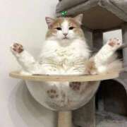 ヒメ日記 2026/04/02 07:12 投稿 ひまわり 手コキ＆オナクラ 大阪はまちゃん 谷九店