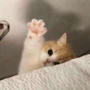 ヒメ日記 2026/04/04 20:47 投稿 ひまわり 手コキ＆オナクラ 大阪はまちゃん 谷九店