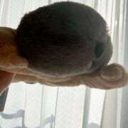 ヒメ日記 2026/04/09 07:12 投稿 ひまわり 手コキ＆オナクラ 大阪はまちゃん 谷九店