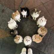 ヒメ日記 2026/04/10 07:22 投稿 ひまわり 手コキ＆オナクラ 大阪はまちゃん 谷九店