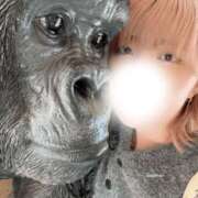 ひまわり 12:00〜出勤せよ！💁‍♀️ 手コキ＆オナクラ 大阪はまちゃん 谷九店