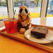 ヒメ日記 2026/04/16 07:22 投稿 ひまわり 手コキ＆オナクラ 大阪はまちゃん 谷九店