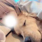 ヒメ日記 2026/04/26 11:12 投稿 ひまわり 手コキ＆オナクラ 大阪はまちゃん 谷九店