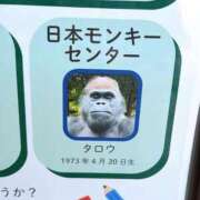 ヒメ日記 2026/07/02 10:42 投稿 ひまわり 手コキ＆オナクラ 大阪はまちゃん 谷九店