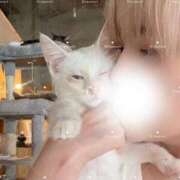 ヒメ日記 2026/07/06 10:22 投稿 ひまわり 手コキ＆オナクラ 大阪はまちゃん 谷九店