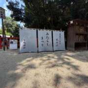 ヒメ日記 2026/07/21 10:52 投稿 ひまわり 手コキ＆オナクラ 大阪はまちゃん 谷九店