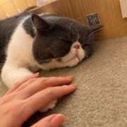 ヒメ日記 2026/10/02 10:22 投稿 ひまわり 手コキ＆オナクラ 大阪はまちゃん 谷九店