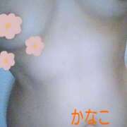 ヒメ日記 2026/06/14 08:43 投稿 かなこ 熟女の風俗最終章 新潟店