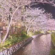 ヒメ日記 2026/04/05 22:58 投稿 ほなみ 京都BOOK MARK（ブックマーク）