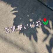 ヒメ日記 2023/09/18 10:50 投稿 直江 ANECOTE