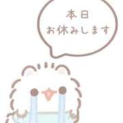 ヒメ日記 2025/03/07 15:52 投稿 こはる Felice(フェリス)