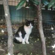 ヒメ日記 2025/07/14 23:51 投稿 こはる Felice(フェリス)