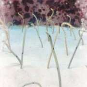 ヒメ日記 2025/10/06 14:40 投稿 こはる Felice(フェリス)