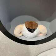 ヒメ日記 2025/06/18 10:46 投稿 りこ 萌えコス