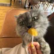 ヒメ日記 2025/06/18 15:35 投稿 りこ 萌えコス