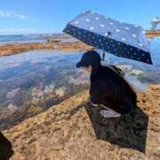 ヒメ日記 2025/07/16 17:05 投稿 りこ 萌えコス