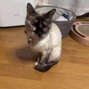 ヒメ日記 2025/07/17 20:39 投稿 りこ 萌えコス