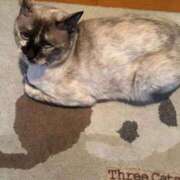 ヒメ日記 2025/08/28 14:55 投稿 りこ 萌えコス