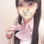 ヒメ日記 2025/11/26 21:27 投稿 りこ 萌えコス