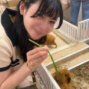 りこ 本音😂 萌えコス