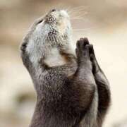 ヒメ日記 2025/04/16 22:54 投稿 みやび 木更津人妻花壇