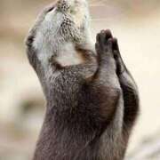 ヒメ日記 2025/05/15 19:16 投稿 みやび 木更津人妻花壇