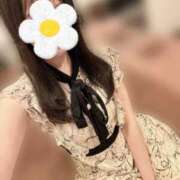 ヒメ日記 2025/04/03 16:34 投稿 あおい CECIL