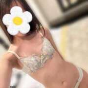 あおい ◎来月の予定◎ CECIL