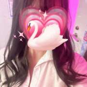 ヒメ日記 2025/04/09 18:42 投稿 かこ みつばちマーヤZ